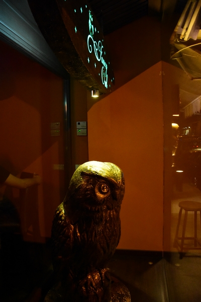 Fancy Owl on Saturday night 